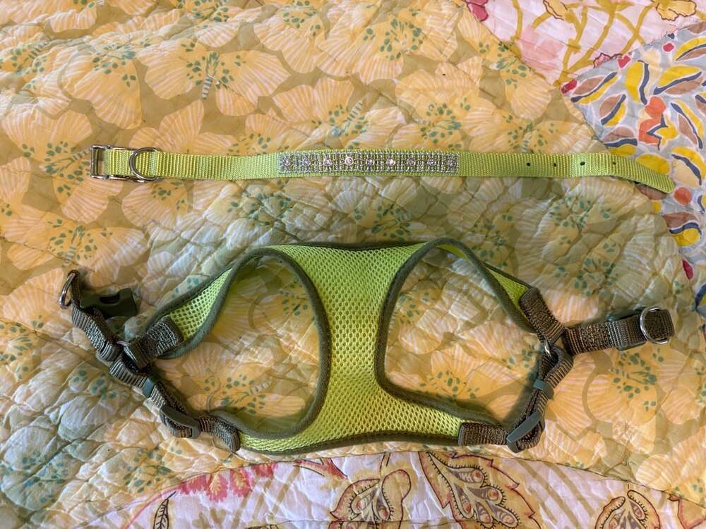Unbranded Two-Tone Comfort Soft XS Dog Harness w/ Matching Collar